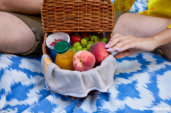 Picnic-day