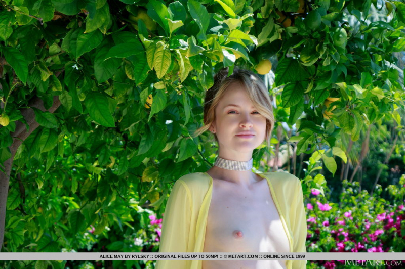 Citrus Bloom