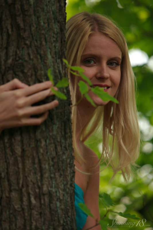 Under the Tree