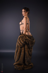 Classy-In-Fur