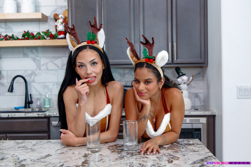 Im Going To Ride You Like A Reindeer Stepbro  S30:E9