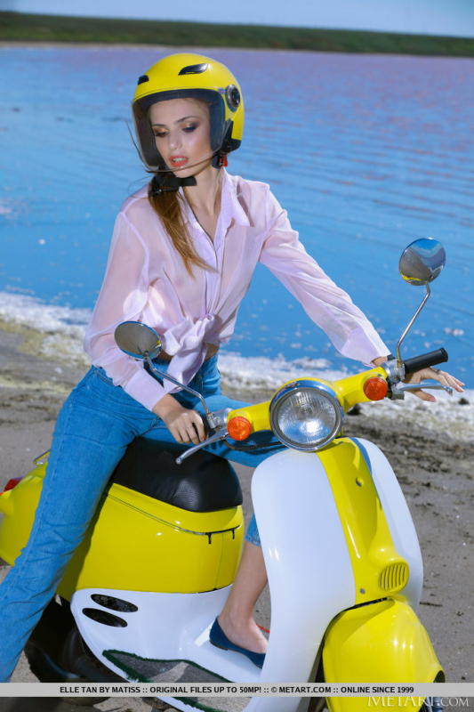 Coastal Crush