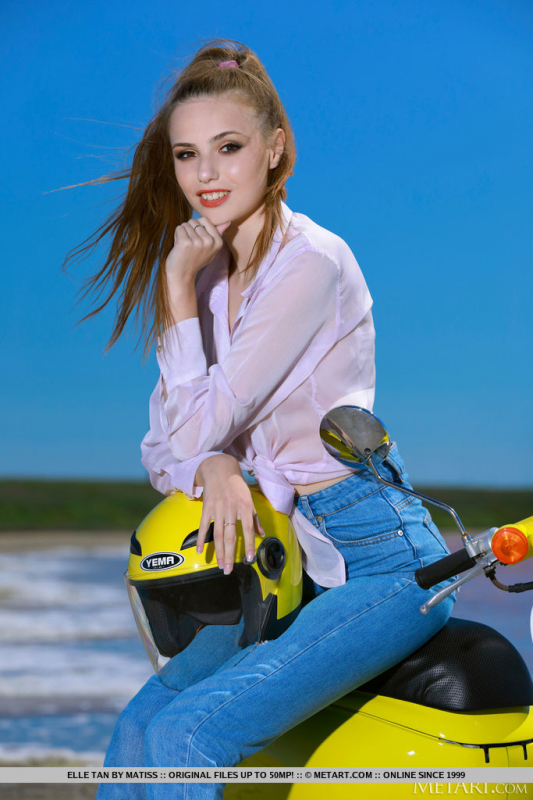 Coastal Crush