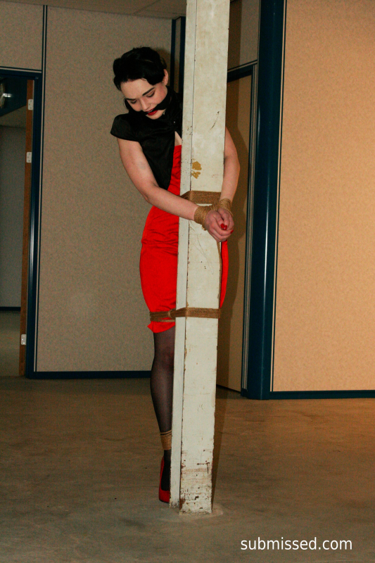 Lady in red Poletied cleavegagged