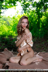 Forest Embrace