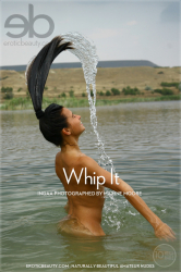 Whip-It