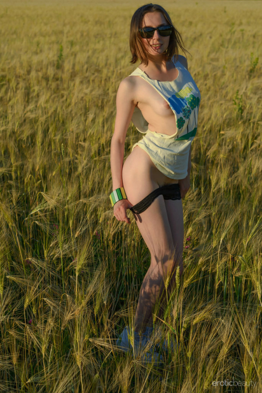 Harvest