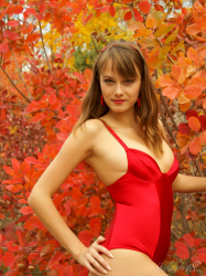 Eranthe--The-Colors-of-Autumn