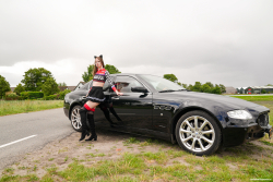 De Pitspoes and de Chauffeur