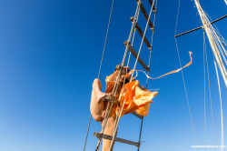 Olivia-Trunk-learns-the-ropes-at-sea