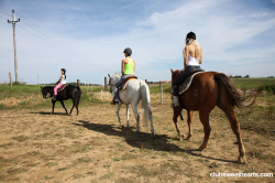 Naked-horse-riding