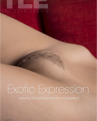 Exotic Expression