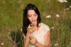 Lost-In-The-Meadow