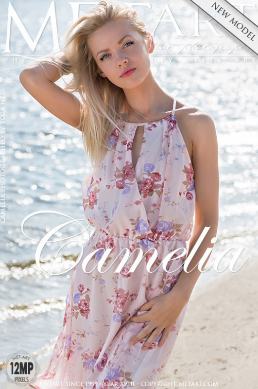 Presenting Camelia