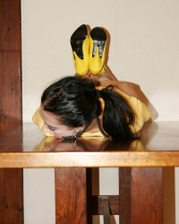 Hot Dish Served Hogtied Ballgagged