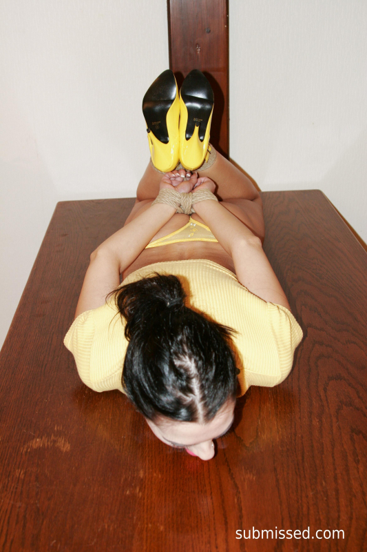 Hot Dish Served Hogtied Ballgagged