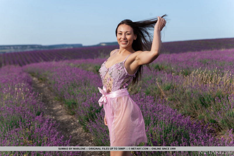Lavender Fields