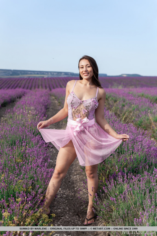 Lavender Fields
