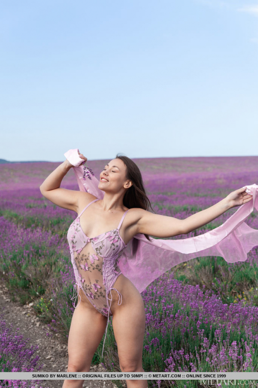 Lavender Fields