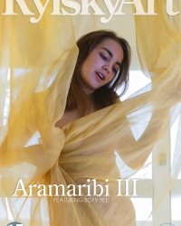 Aramaribi III
