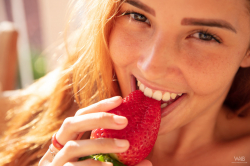 Taste-The-Fruit