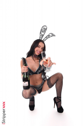 New-Year's-Bunny