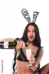 New-Year's-Bunny