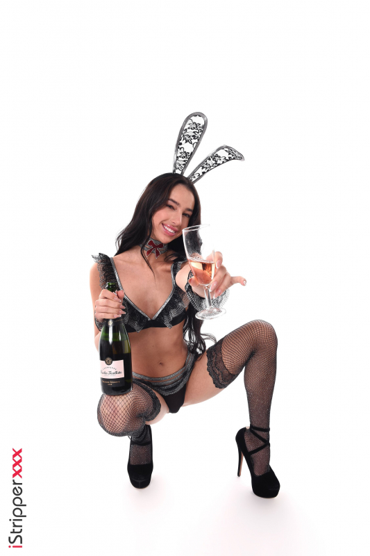 New Year's Bunny