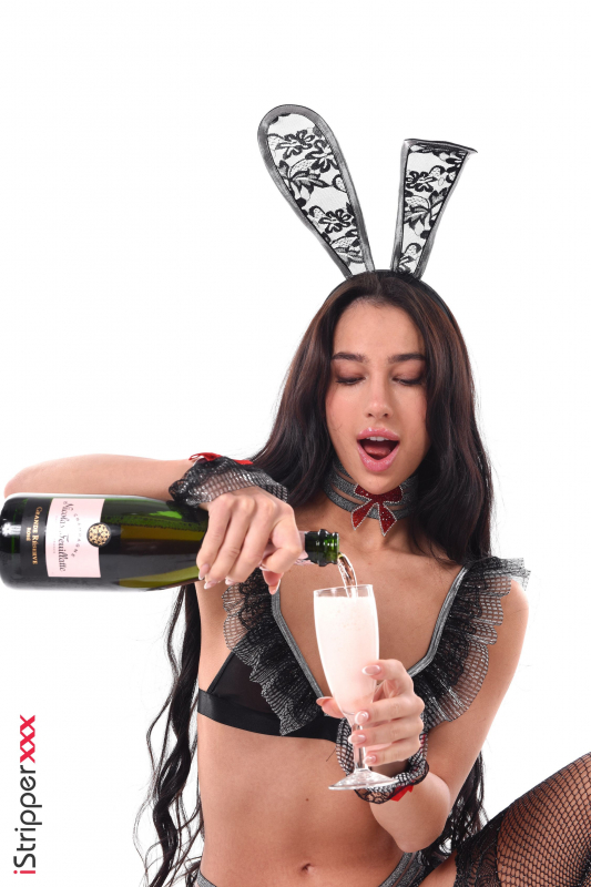 New Year's Bunny