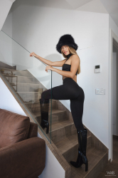 Best-Model
