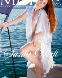 Mary Fox - Sunlit Drift