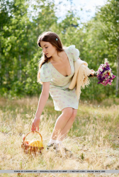 Sexy-Picnic