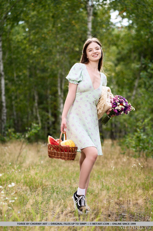 Sexy Picnic