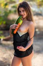 Vegan-Dreams-1