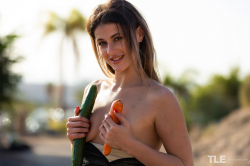 Vegan-Dreams-1