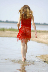 A-Sunny-Day