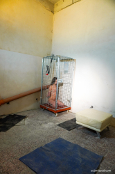Caged-Olivia-in-ropes-gets-fucked