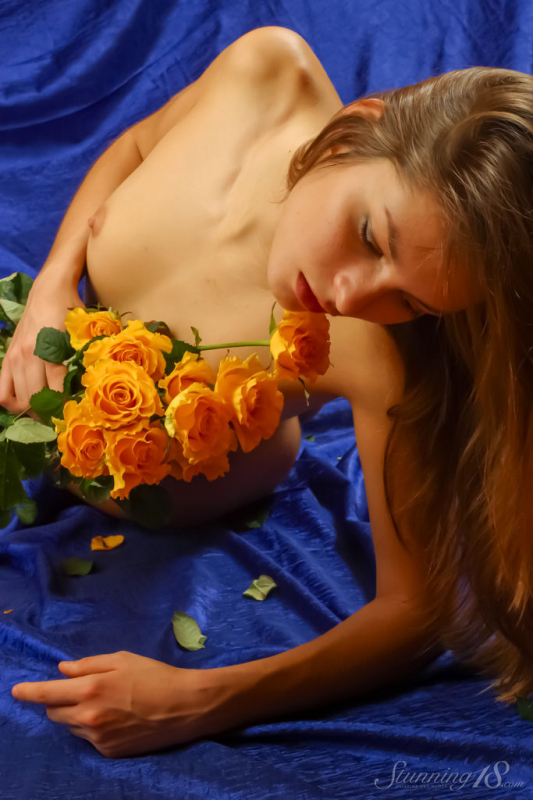 Hebe  Sent Me a Bouquet