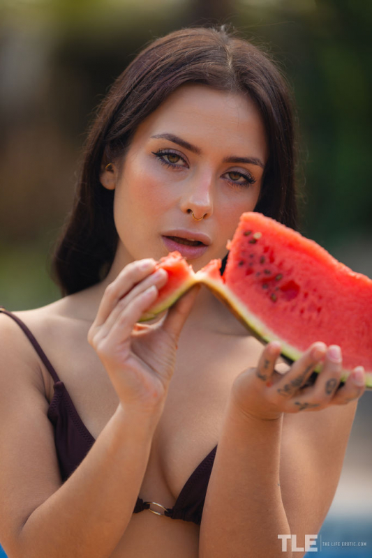 Taste Of Summer 1