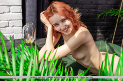 Radiant-Charm