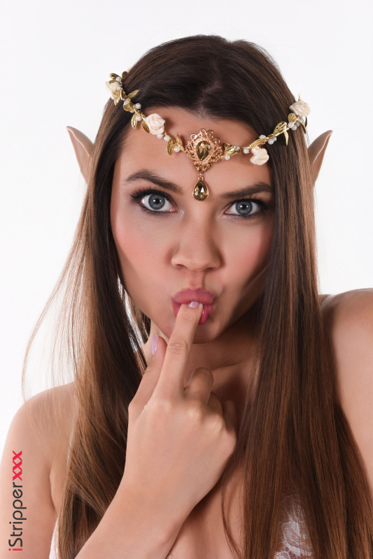 The Elf Bride