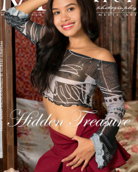 Hidden Treasure