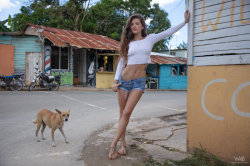 Street-Gym