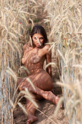 In-the-Wheat-Field