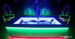 Strippers-Delight-3