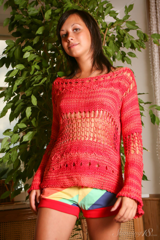 Salacia  Red Sweatshirt