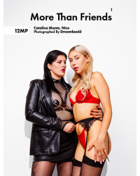 More Than Friends 1