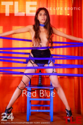 Red-Blue-1