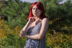 Piper