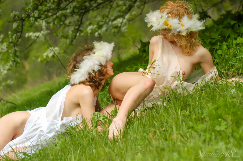 Fairies in the Garden